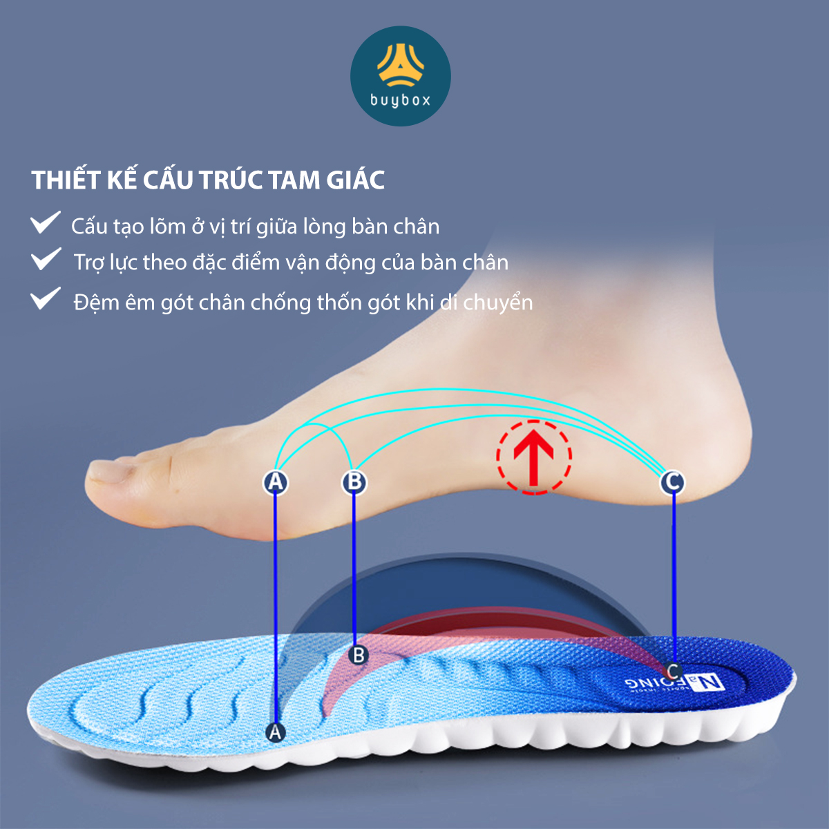 Mô tả Lót Giày Thể Thao Nam Nữ, Đế Lót Giày Cao Cấp - buybox - BBPK364 - 3