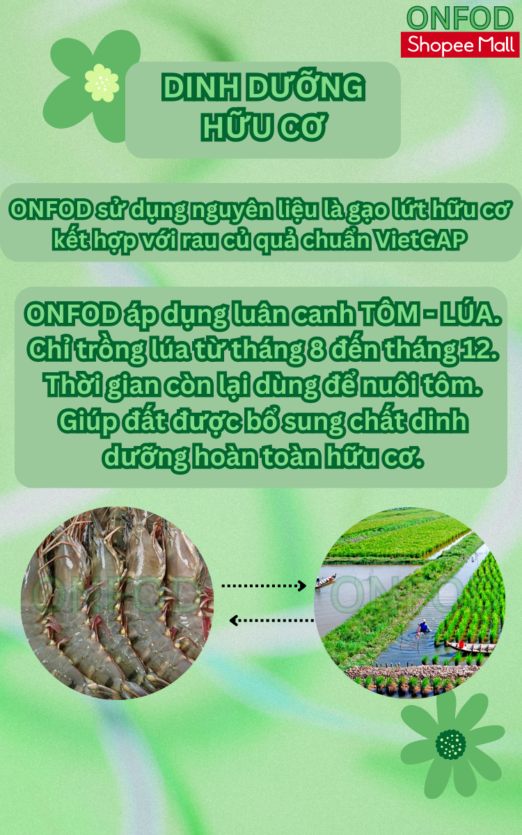 Mô tả Bún gạo lứt rau củ ngũ sắc hữu cơ ONFOD ăn kiêng giảm cân healthy eatclean cho người tiểu đường, gym, yoga, mẹ bầu - 7