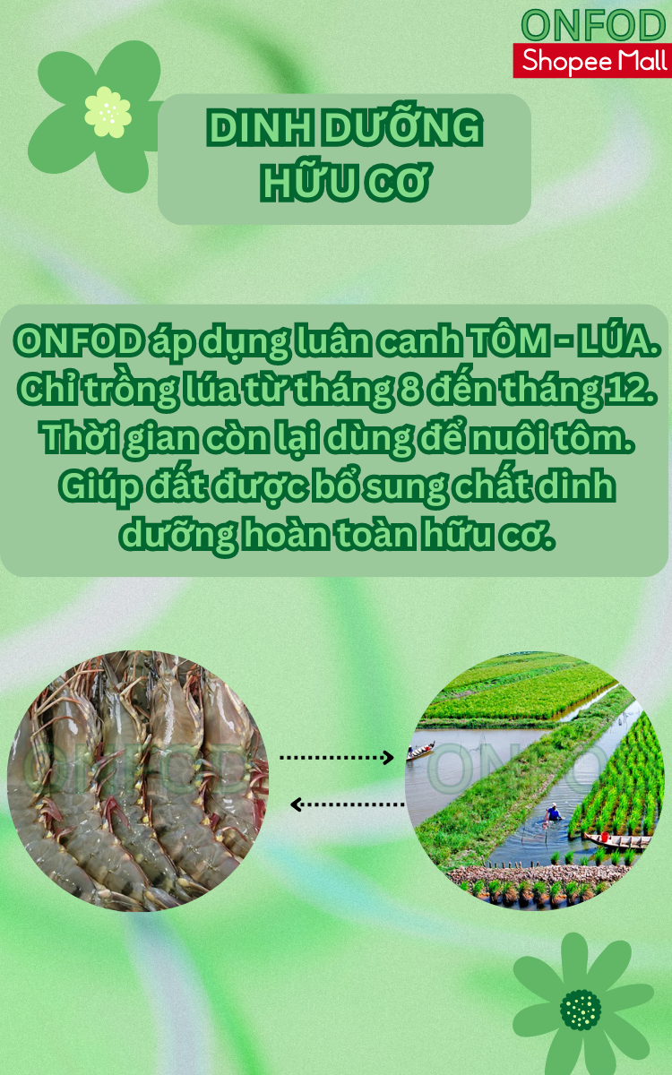 Mô tả Gạo lứt đen dẻo điện biên organic ONFOD dành cho người giảm cân, thực dưỡng, ăn kiêng, tiểu đường, béo phì 500g 1kg - 6