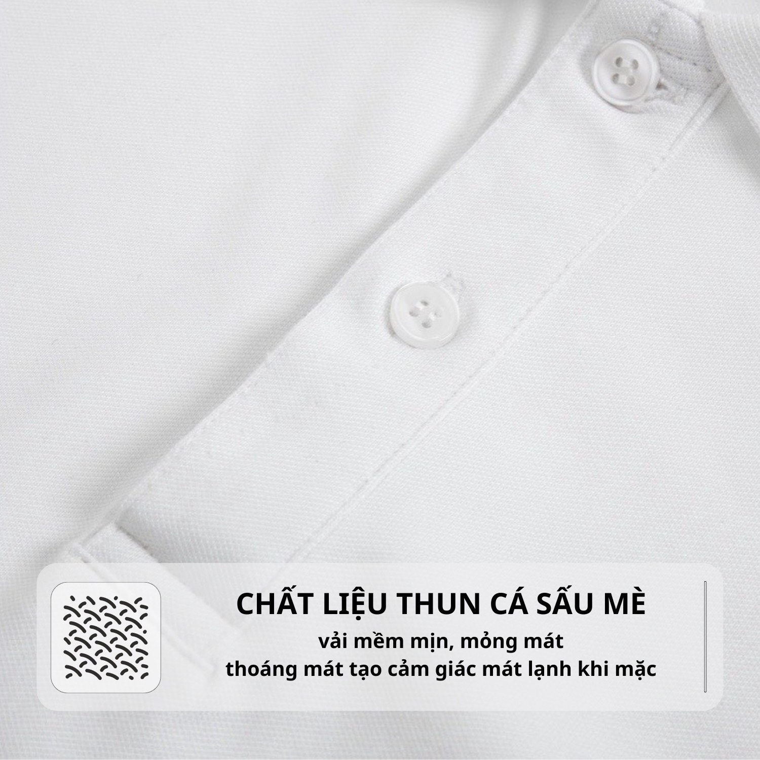 Mô tả Áo thun nam POLO GẤU 194 vải cá sấu mè, co dãn 4 chiều dày dặn form gerular fit - PL Mè - 4