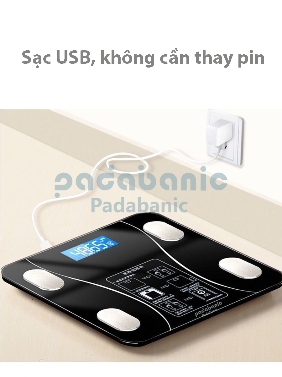 Cân Điện Tử Padabanic 202