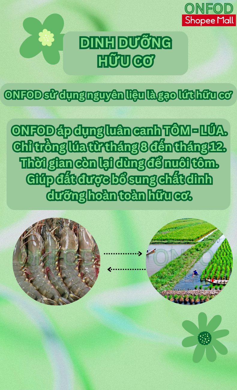 Mô tả Phở bún gạo lứt hữu cơ ONFOD dành cho người ăn kiêng, giảm cân, tiểu đường, gym, yoga thực dưỡng eat clean 500g - 6