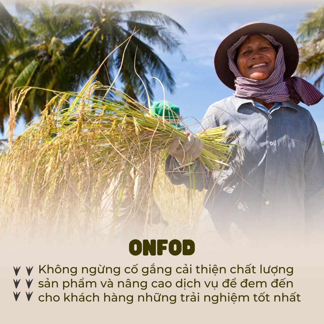 Mô tả Bánh gạo lứt ONFOD hữu cơ bánh ăn kiêng giảm cân thực dưỡng cho người tập gym, yoga, mẹ bầu 51 cái 500g - 7
