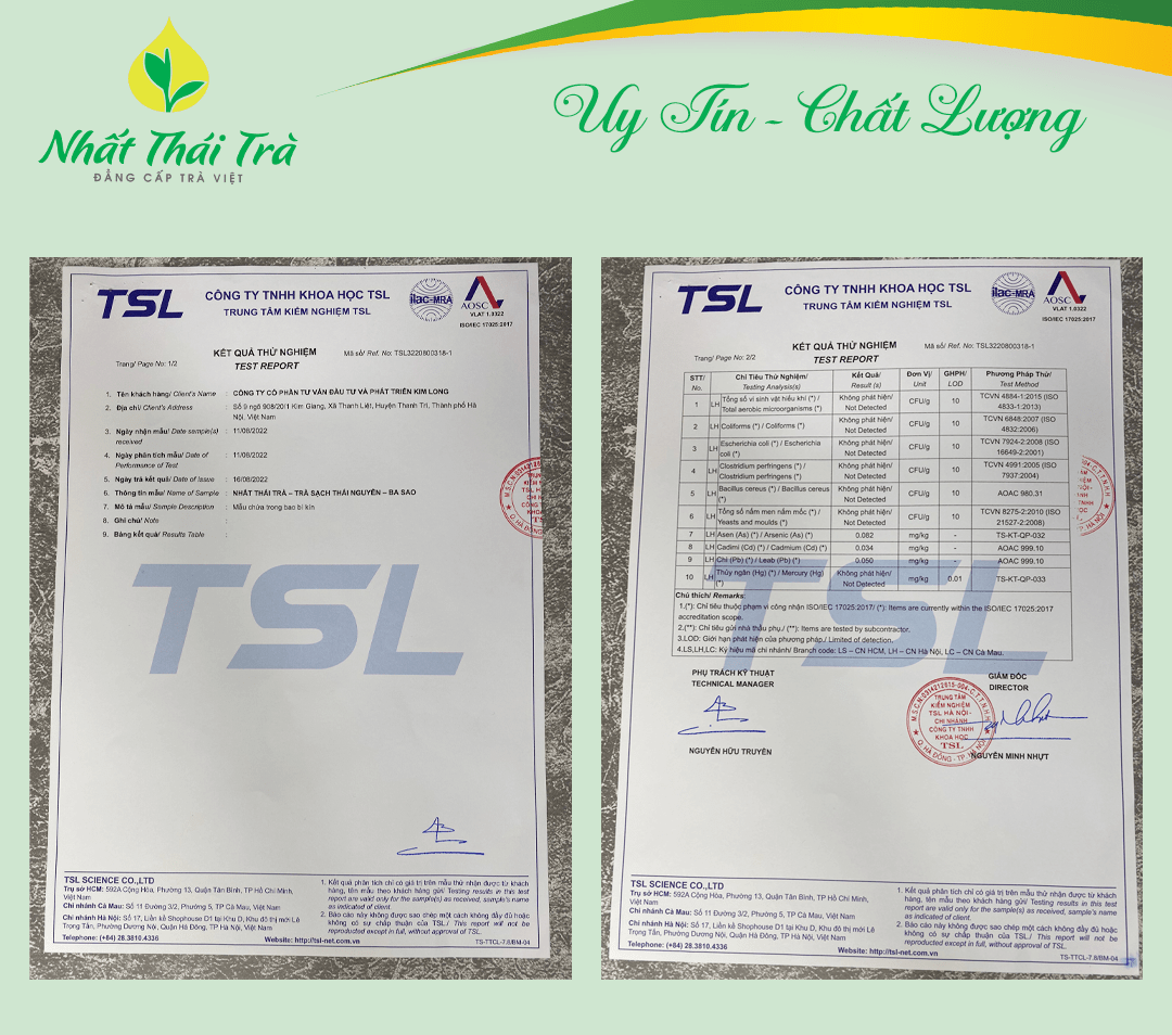 Mô tả Trà Thái Nguyên cao cấp Nhất Thái Trà 3 sao hương thơm mộc nước vàng sóng sánh - 5