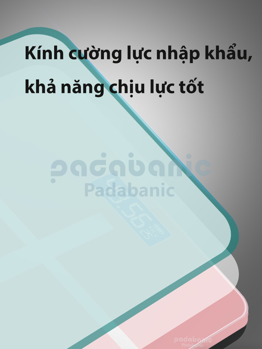 Cân Điện Tử Padananic