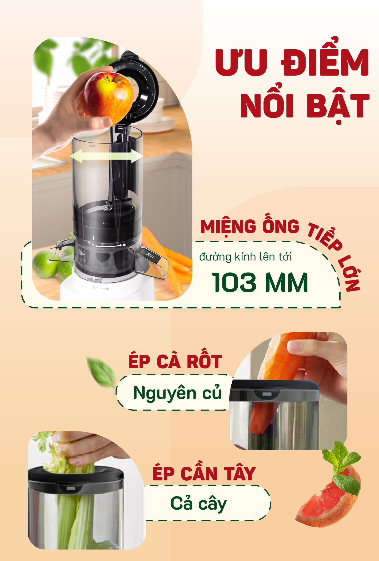 Mô tả Máy Ép Chậm Masuto Ms Healthy Làm Kem Ép Trái Cây Nguyên Quả Kiệt Bã Dung Tích 0,6L Làm Nước Ép, bảo hành 12 tháng - 2