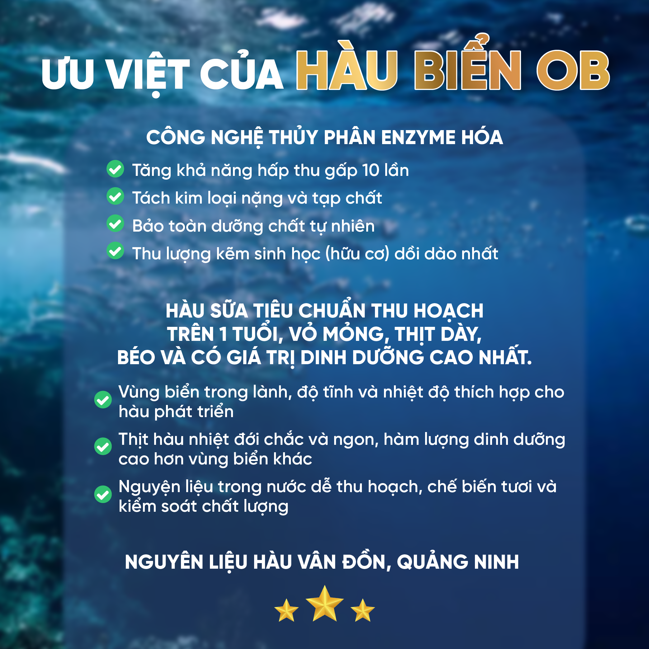 Mô tả Combo 3 Hộp Tinh Chất Hàu OB Tăng Sinh Lý Nam Giới, Chiết Xuất Hàu Oyster (Hộp 30v) - Grow Green AZ - 3
