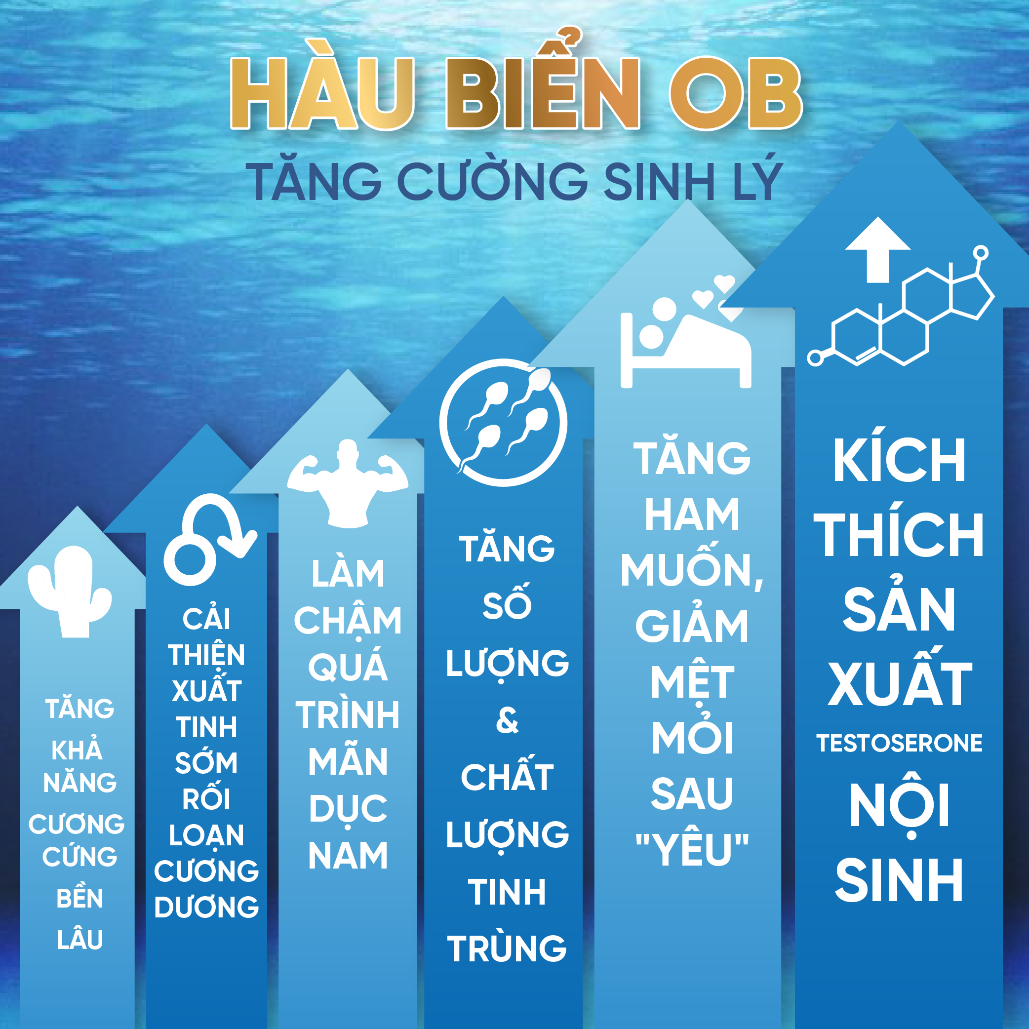 Mô tả Combo 3 Hộp Tinh Chất Hàu OB Tăng Sinh Lý Nam Giới, Chiết Xuất Hàu Oyster (Hộp 30v) - Grow Green AZ - 4