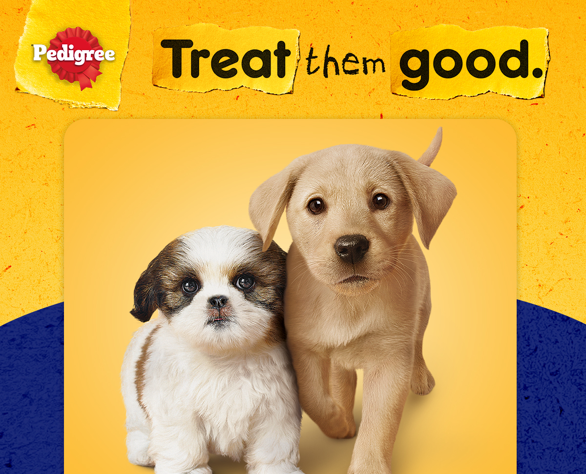 Bánh xương chó con PEDIGREE Dentastix