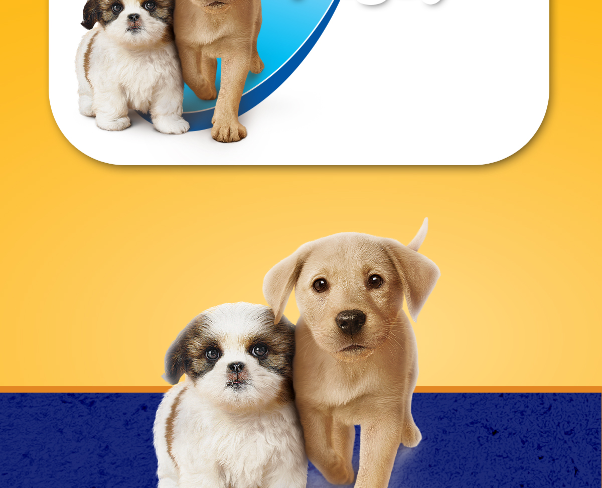 Bánh xương chó con PEDIGREE Dentastix thành phần