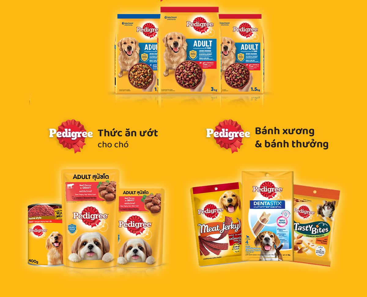 Bánh xương chó con PEDIGREE Dentastix đóng gói