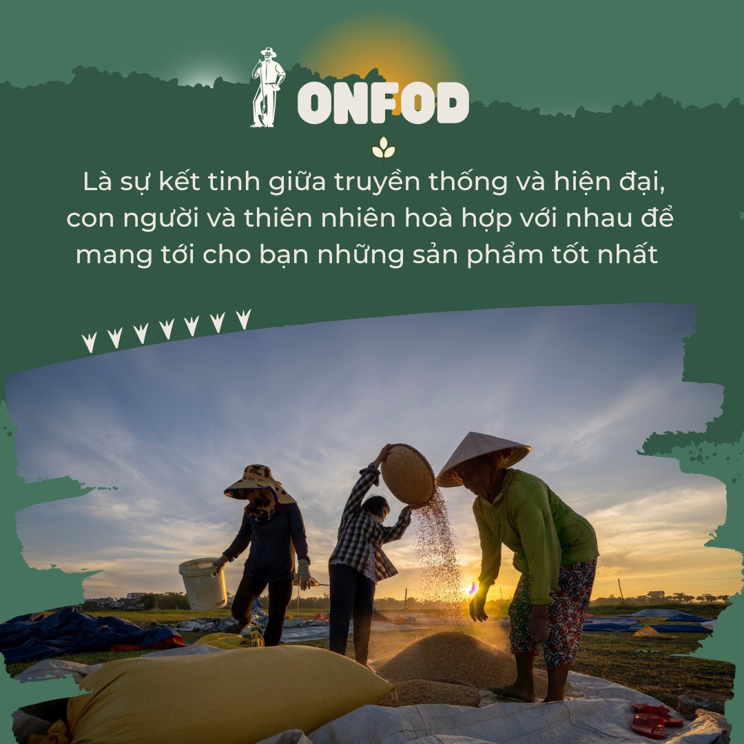 Mô tả Bánh gạo lứt rong biển hữu cơ ONFOD ăn kiêng giảm cân cho người tiểu đường mẹ bầu eat clean 125g 24 cái - 9