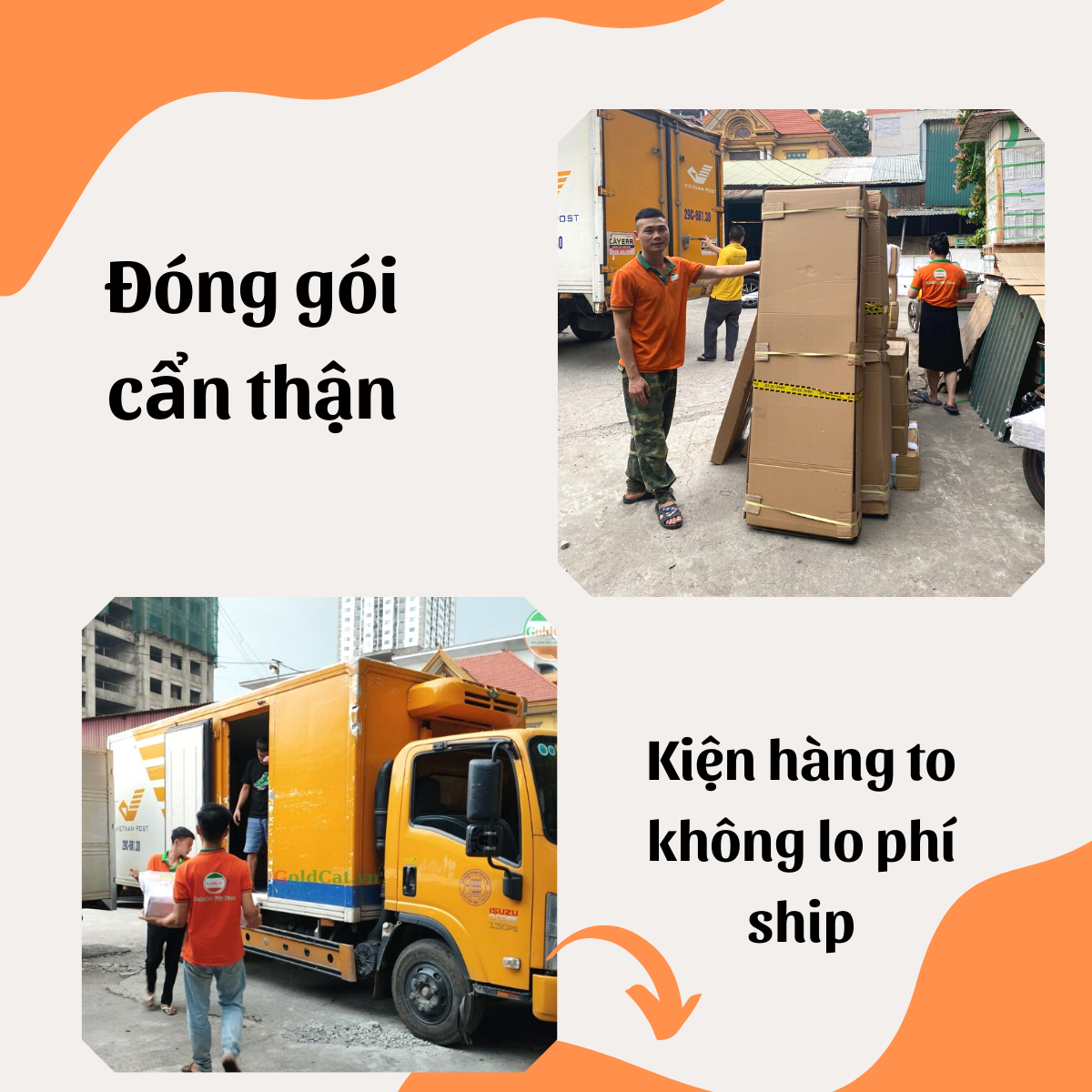 Mô tả Giường Gỗ GOLDCAT Cho Trẻ Từ 2-15 Tuổi Phong Cách Hàn Quốc, Trọng Tải Tối Đa 180kg, Gỗ Quế An Toàn - 9