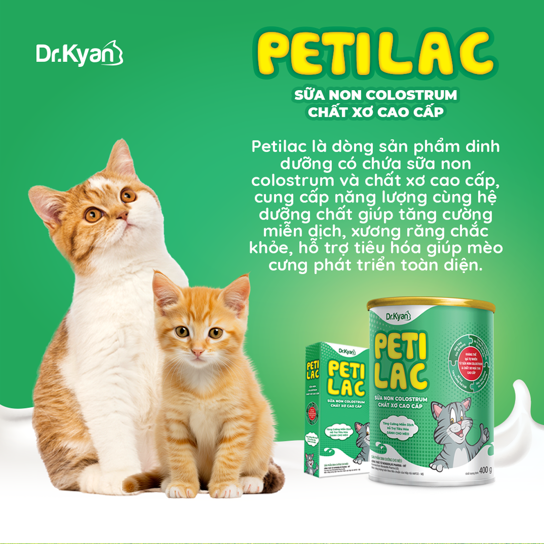 Mô tả DrKyan - Sữa bột dinh dưỡng PETILAC - Bổ sung sữa non Colostrum & Chất xơ cao cấp cho mèo 100g - 2