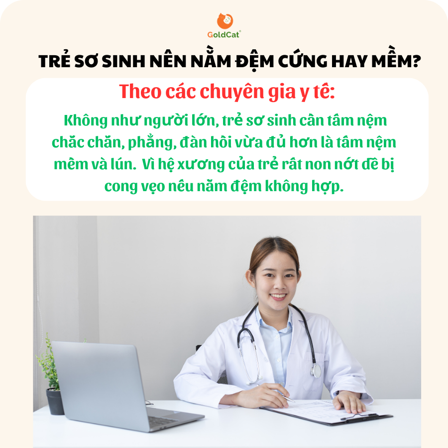 Mô tả Nệm Cũi Cho Bé Sơ Sinh GOLDCAT Chất Liệu Bông Ép Tiêu Chuẩn, Kèm Ga Gọc Nệm Mềm Mịn, Ôm Nệm - 1