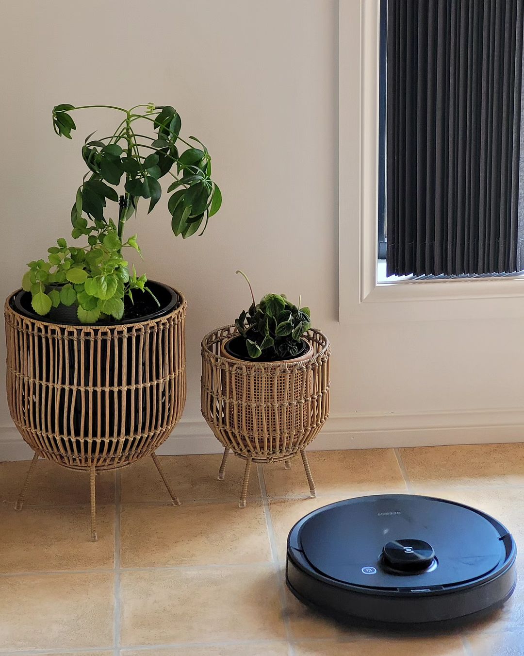 Robot hút bụi Ecovacs Deebot NEO vượt chướng ngại vật