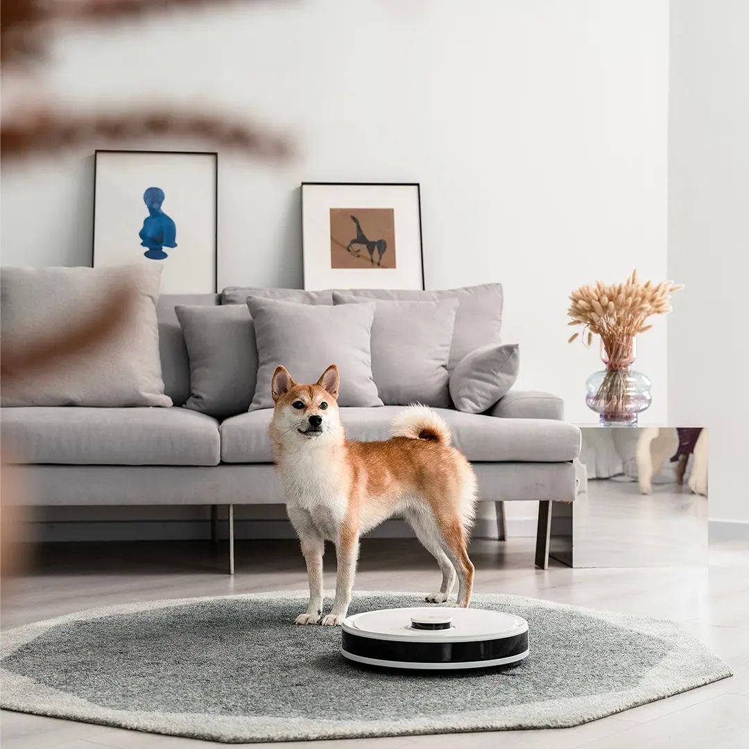 Ứng dụng Ecovacs Home điều khiển robot
