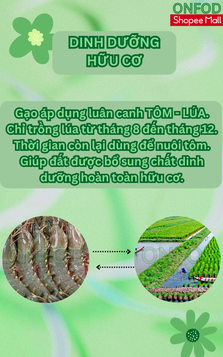 Mô tả Gạo lứt huyết rồng đỏ hữu cơ ONFOD ăn kiêng giảm cân cho người tiểu đường ăn chay eat clean 500g 1kg - 3