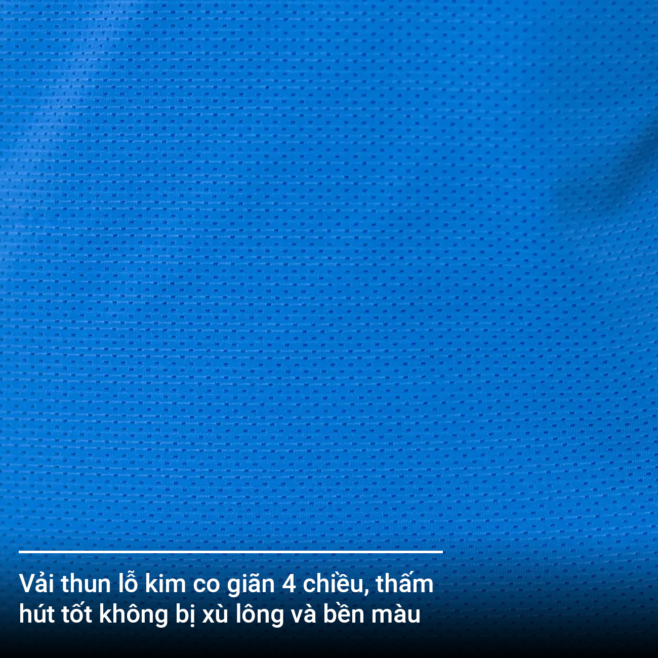 Mô tả Áo cộc tay thể thao Gladimax Coolmax Slimfit T39 dáng slimfit, thoáng mát - 2