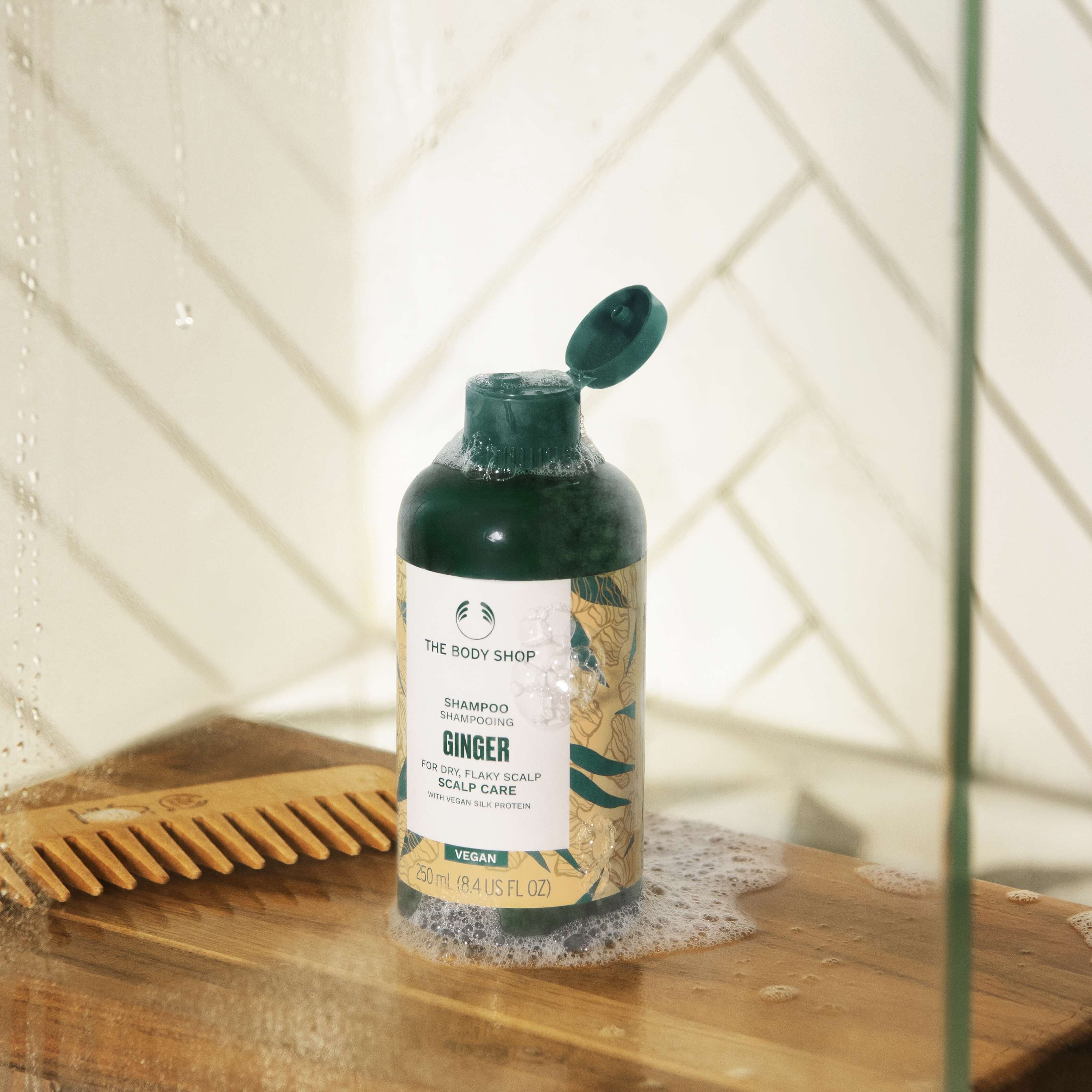 Mô tả Combo Dầu Gội Và Dầu Xả Gừng Ginger Scalp Care Shampoo 250ml The Body Shop - 1