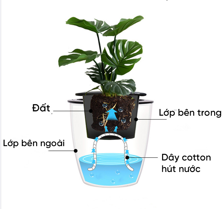 vn-11134208-7r98o-ln9ejg6ynx089e