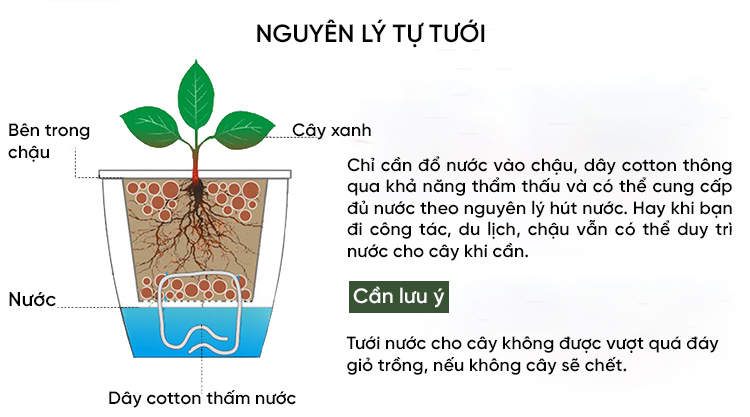 vn-11134208-7r98o-ln9jpzr0wp0ydb