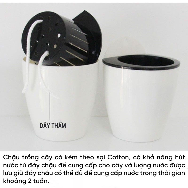 vn-11134208-7r98o-ln9jpzr0zi5ud1