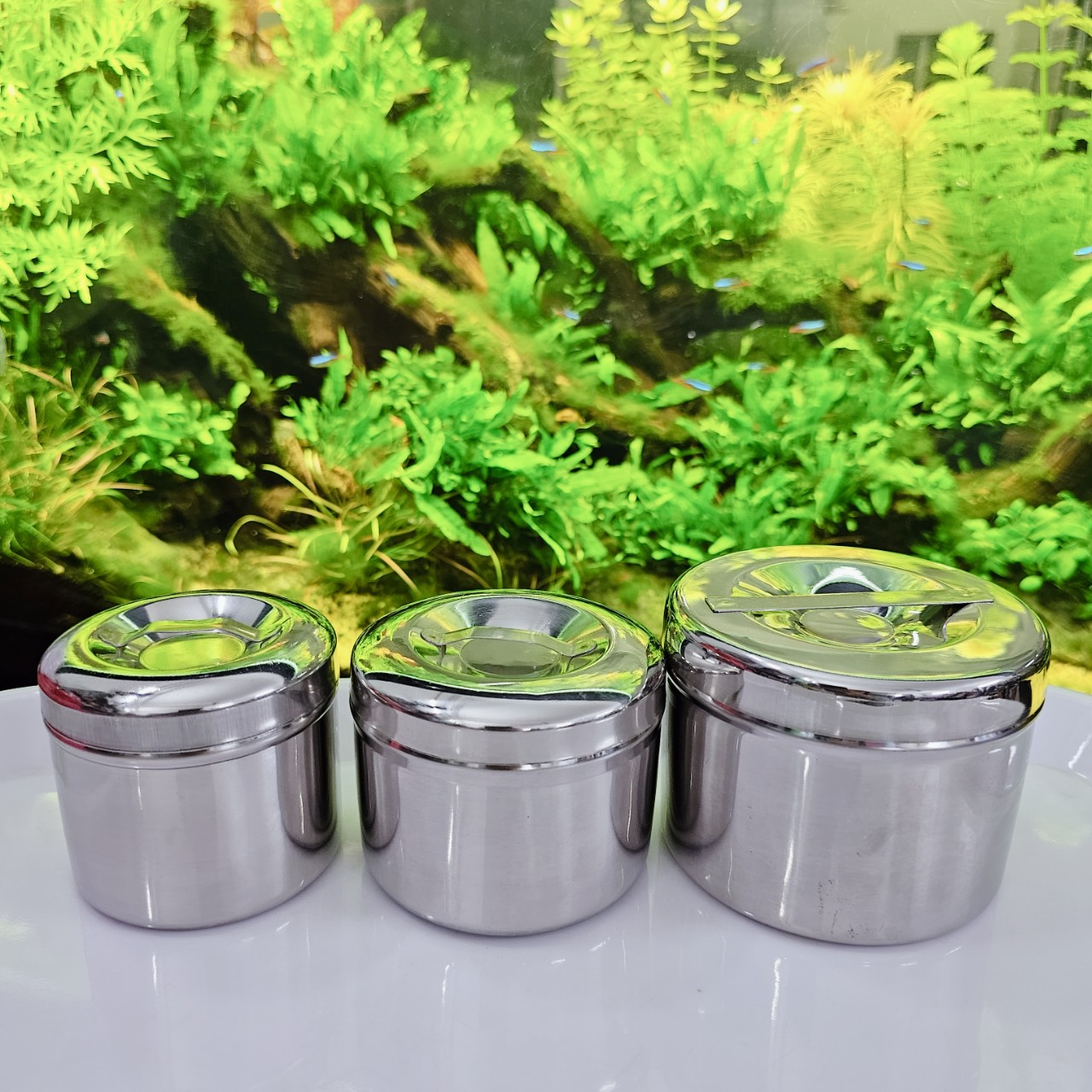 Hủ Lưu Mẫu - Hộp Đựng Bông Gòn INOX 304 (Nhiều Kích Cỡ) TITHAFAC an ...