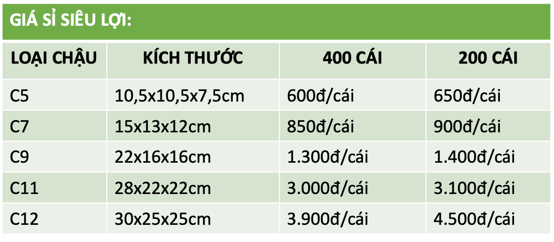 vn-11134208-7r98o-lnwqvpgjpzhp62
