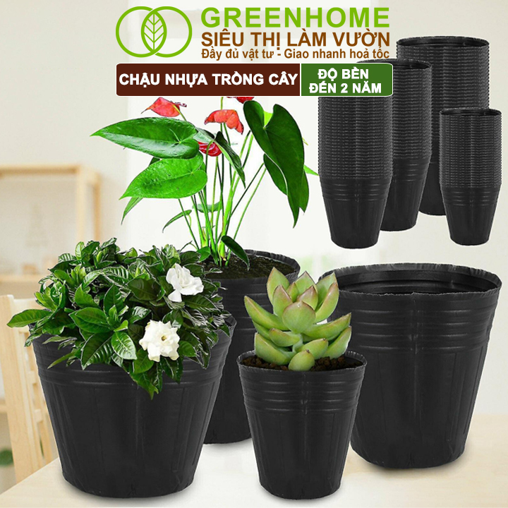 vn-11134208-7r98o-lnwqvpgjre254d