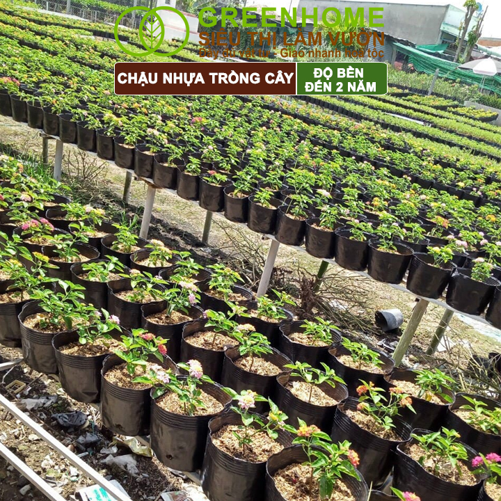 vn-11134208-7r98o-lnwqvpgjyewd13