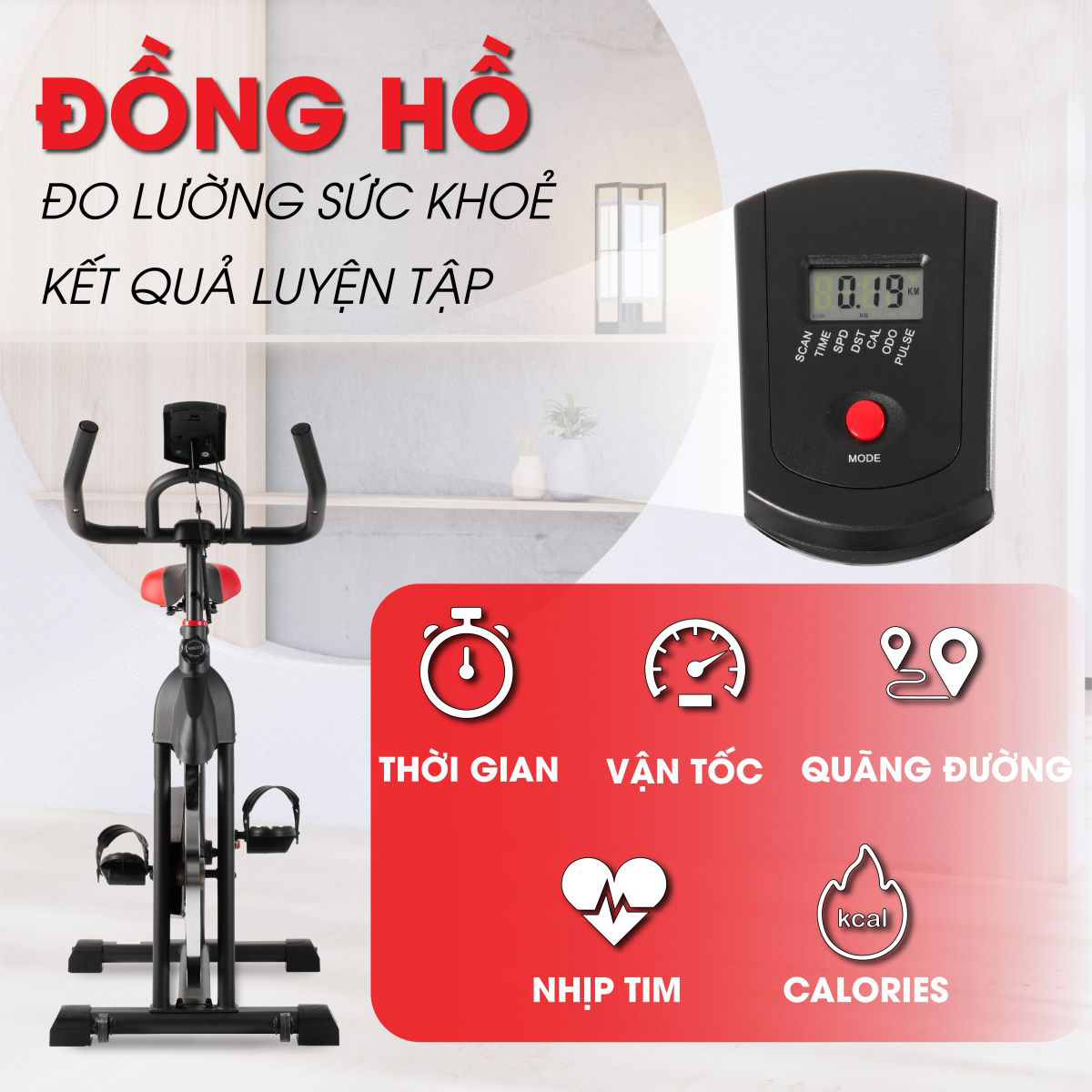 vn 11134208 7r98o lo2b5vz5mu0qcd