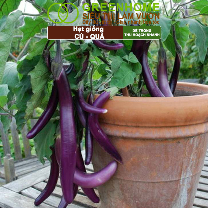 Che nắng cho cây mới trồng