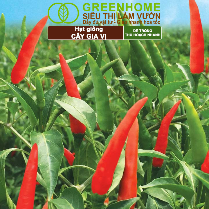Sản phẩm hạt giống Greenhome