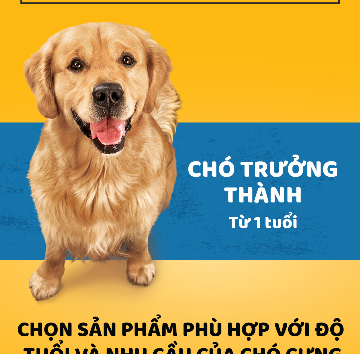 Mô tả Thức Ăn Dạng Hạt Khô Cho Chó Lớn PEDIGREE Vị Bò Và Rau Củ - 6