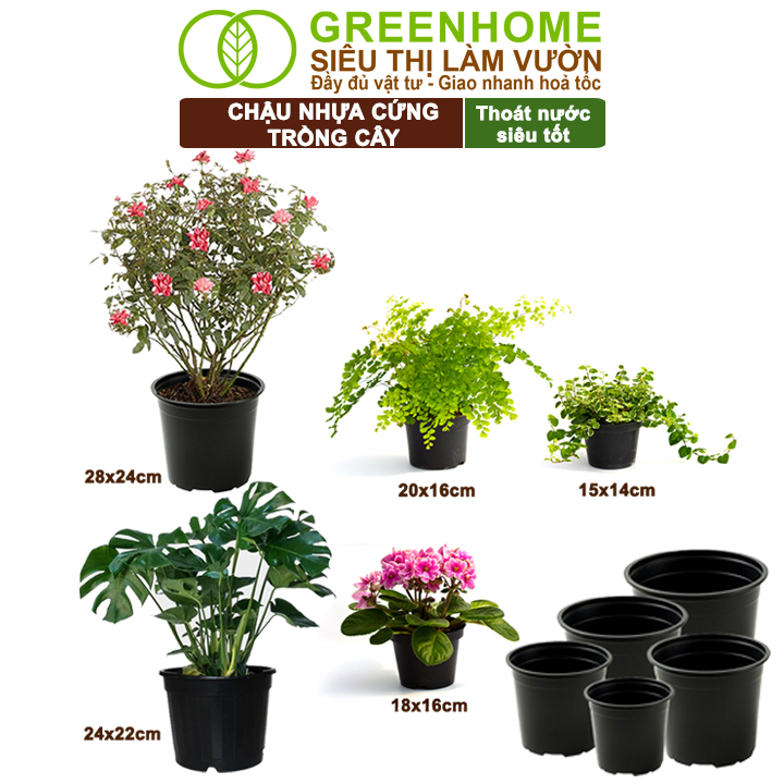 Chậu nhựa Greenhome đa dạng kích thước