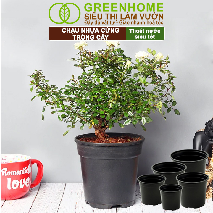 Mô tả Chậu Trồng Cây Greenhome, 28x24cm, Nhựa Cứng, Thoát Nước Tốt, Nhiều Kích Thước Trồng Hoa, Kiểng Lá - 3
