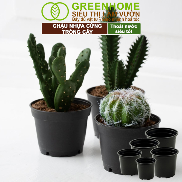 Chậu nhựa cứng Greenhome tái sử dụng