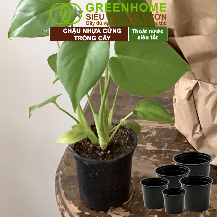 Thiết kế vành chậu Greenhome tiện lợi