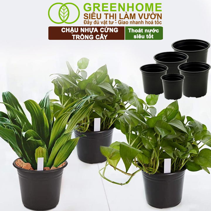 Đáy chậu Greenhome thoát nước tốt