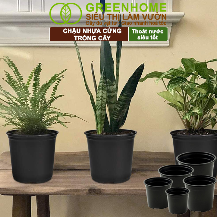 Chậu Greenhome giá rẻ, đa dạng kích thước