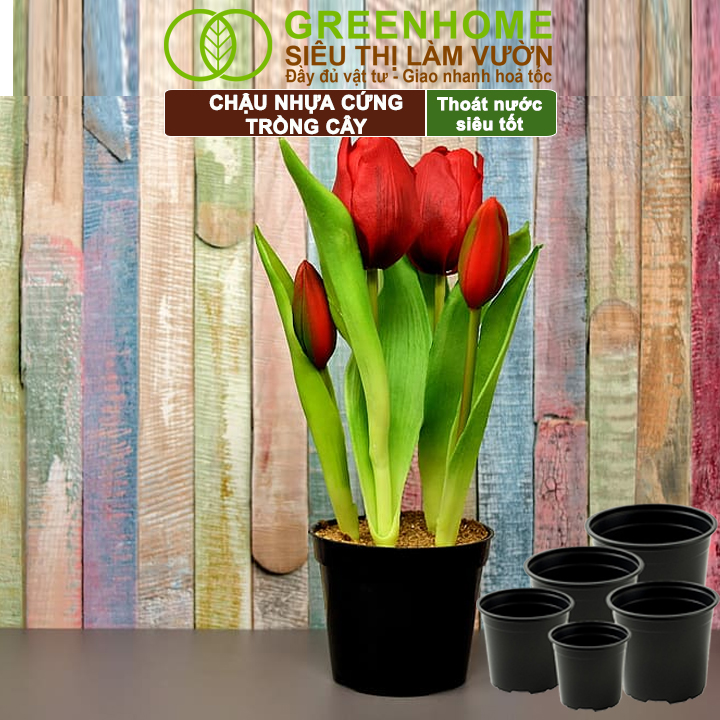 Chậu Greenhome phù hợp nhiều không gian