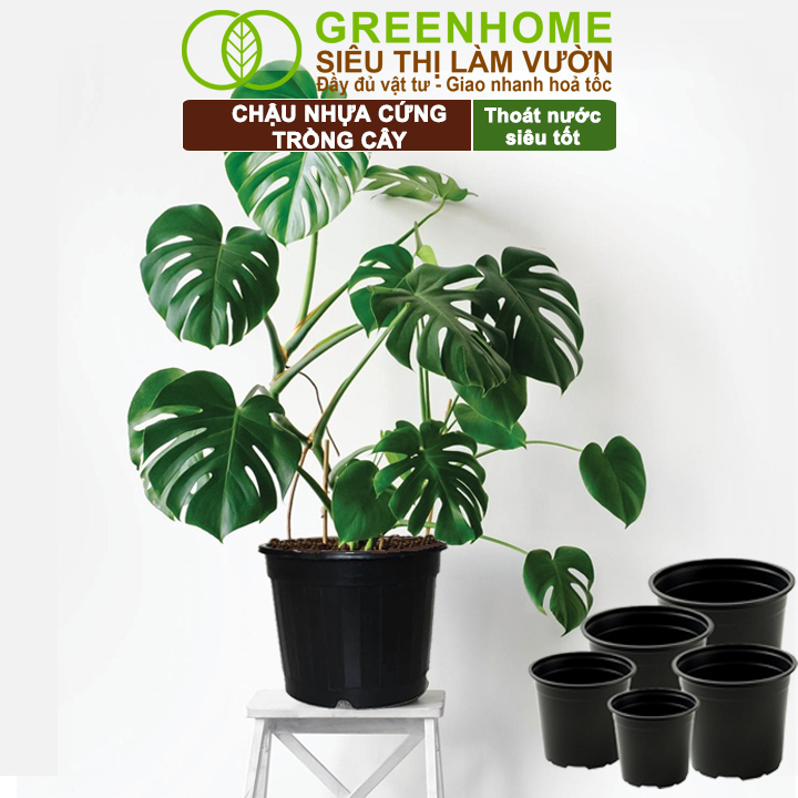 Chậu Trồng Cây Greenhome
