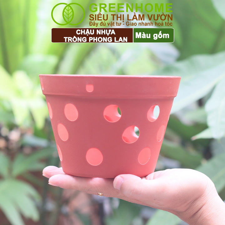 Chậu nhựa trồng lan Greenhome R15xC10cm màu gốm