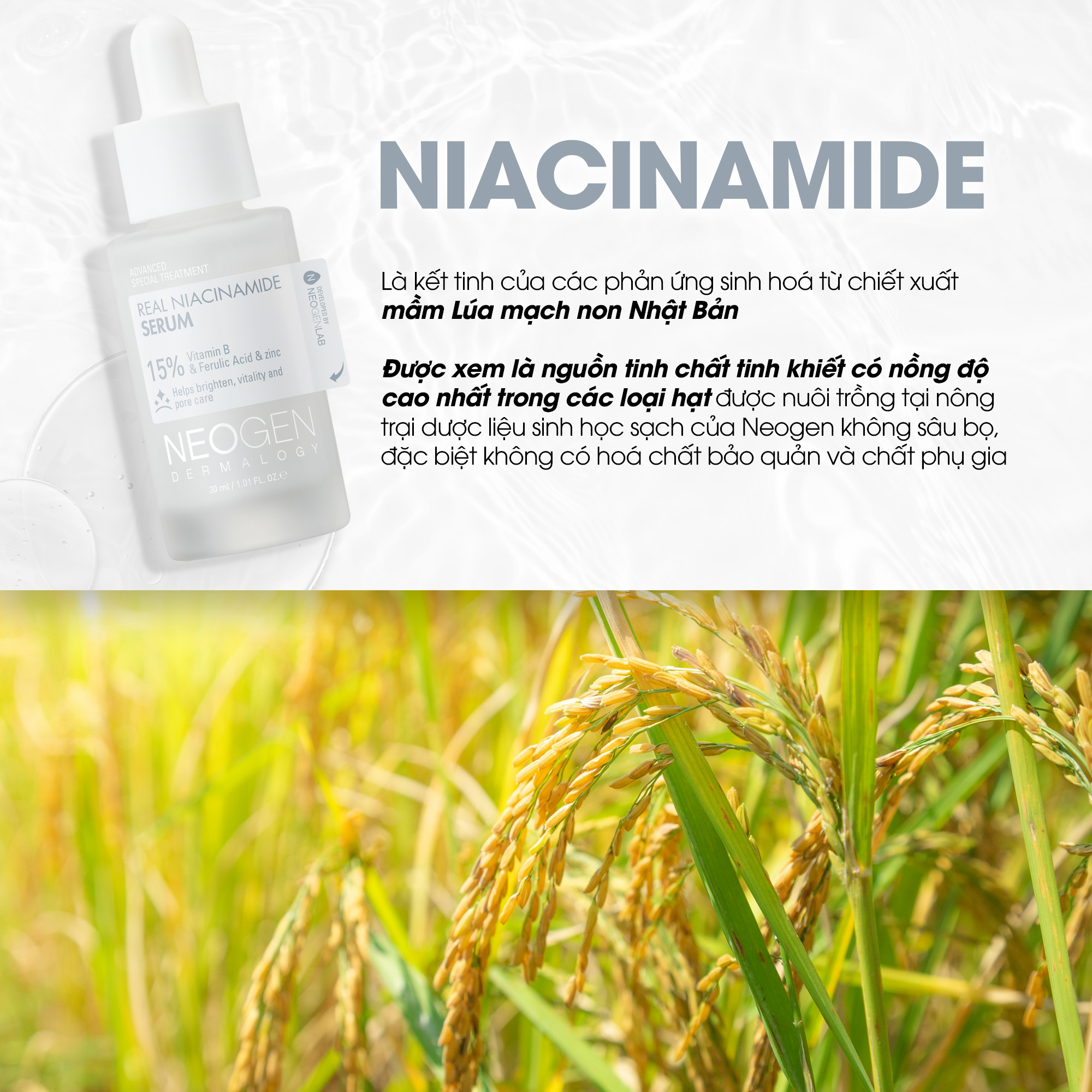 Mô tả Serum 15% Niacinamide Sinh Học Kiềm Dầu Giảm Mụn Dưỡng Sáng Da Neogen Dermalogy Real Niacinamide Firming 30ml - 3