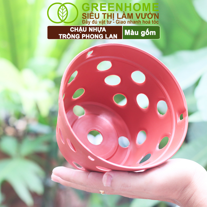 Chậu trồng lan Greenhome phù hợp nhiều loại lan