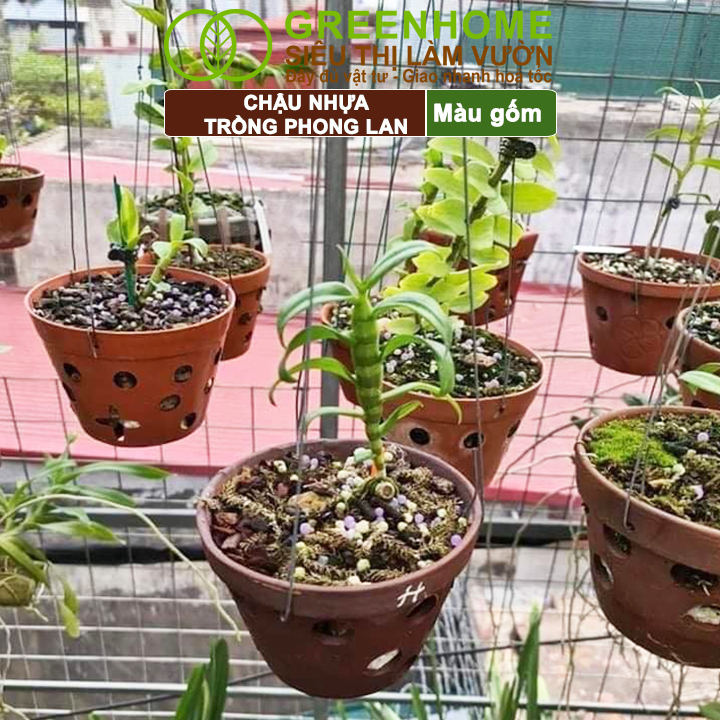Chậu nhựa Greenhome chống nấm bệnh