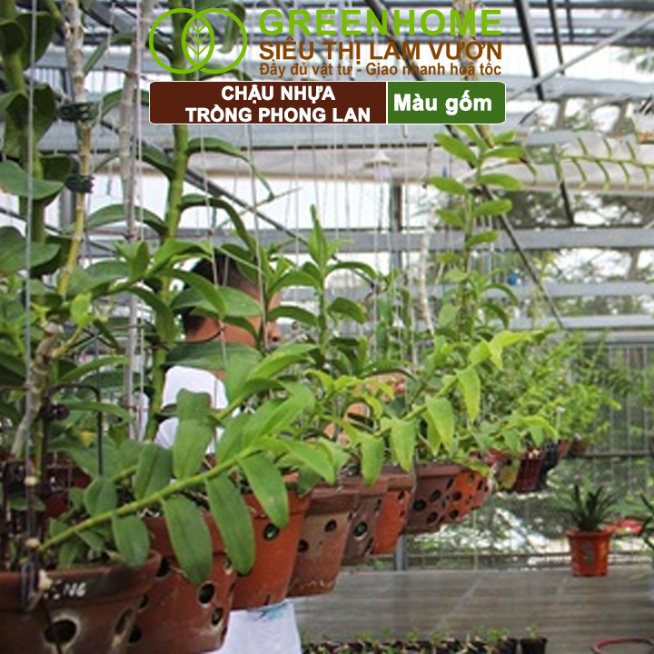 Chậu nhựa Greenhome bền nhẹ dễ vệ sinh