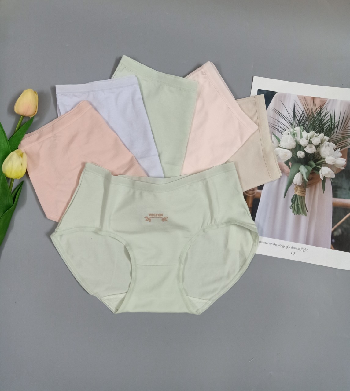 Mô tả Quần lót nữ cotton Vicci cao cấp kháng khuẩn khử mùi thông hơi thoáng khí đường viền mỏng QV.31 - 1