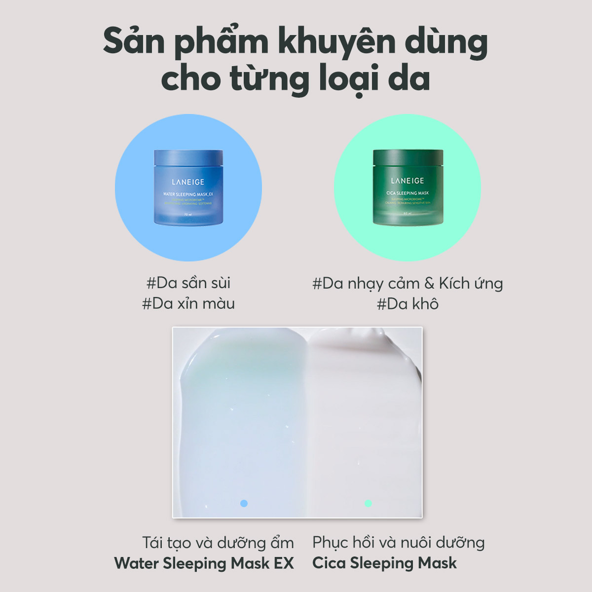 Mô tả Mặt nạ ngủ tăng khả năng tự vệ của da LANEIGE Water Sleeping Mask EX 25ml - 11